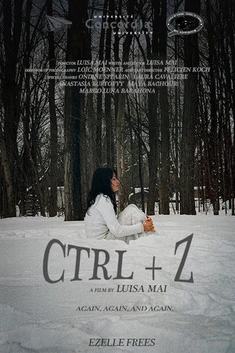 Movie poster for CTRL+Z