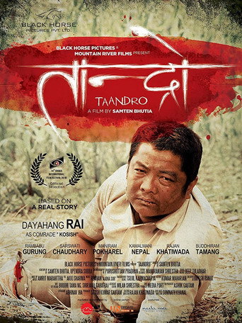 Movie poster for Taandro (2015)