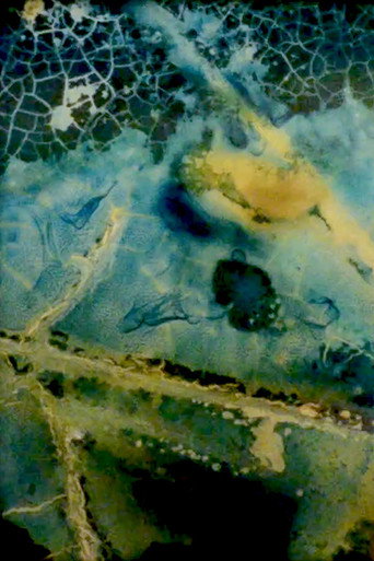 Movie poster for Water Mining (Eaton Canyon) (2021)