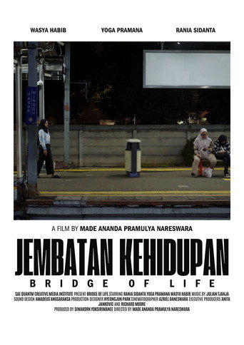 Movie poster for Bridge of Life