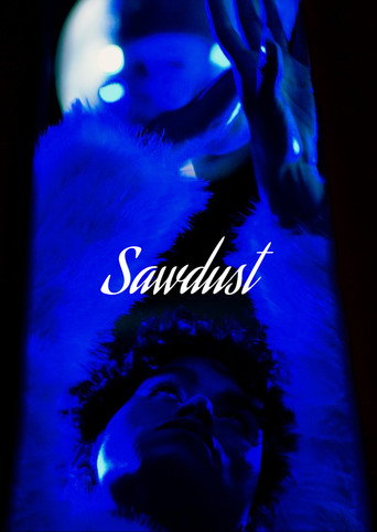 Movie poster for Sawdust (2026)
