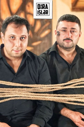 Shady Affairs poster