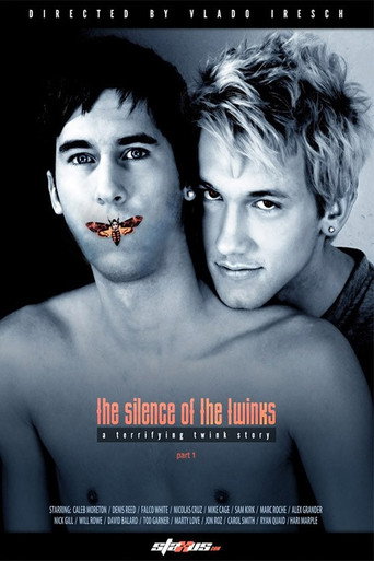 Movie poster for The Silence of the Twinks (2011)