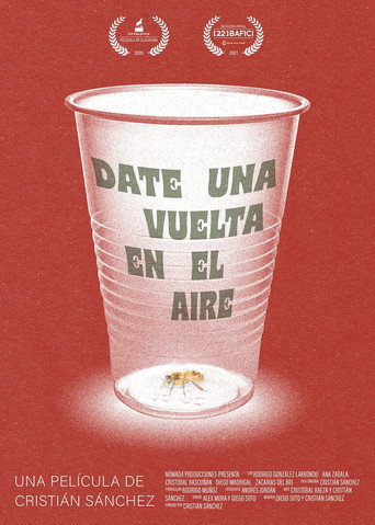 Movie poster for Take a Spin in the Air (2020)