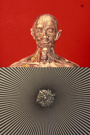 Movie poster for El mensaje es facial (1976)