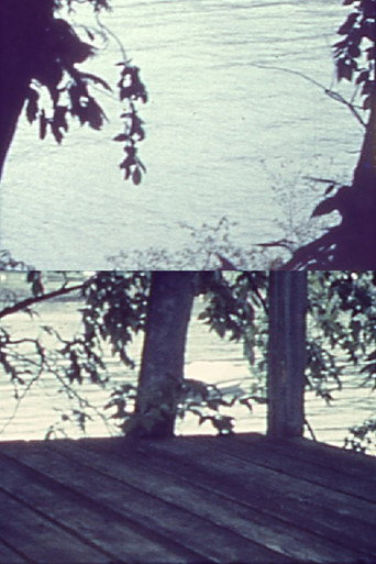 Movie poster for Silently, Bearing Totem of a Bird (1962)