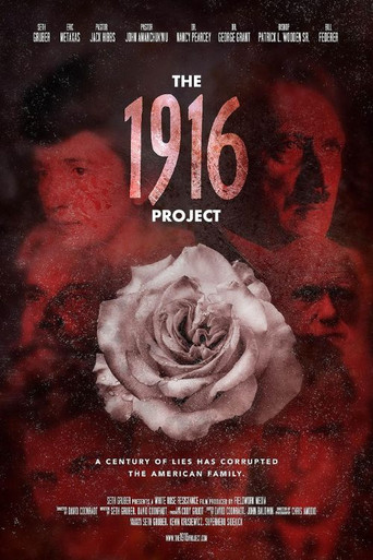 Movie poster for The 1916 Project (2024)