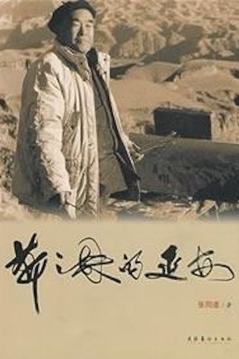Movie poster for Neighborhood Committee (2000)
