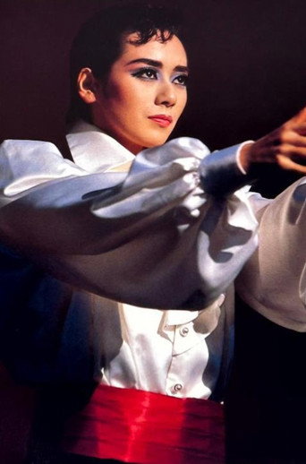 The Red and the Black poster