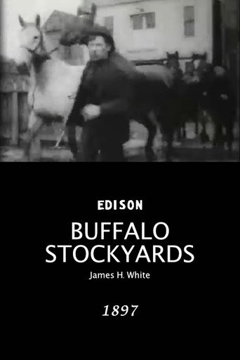 Movie poster for Buffalo Stockyards (1897)