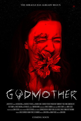 Movie poster for Godmother (2026)
