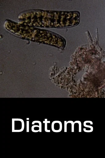 Movie poster for Diatoms (1968)