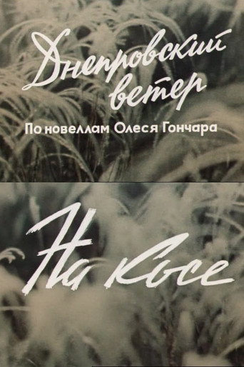 Днепровский ветер. На косе. poster