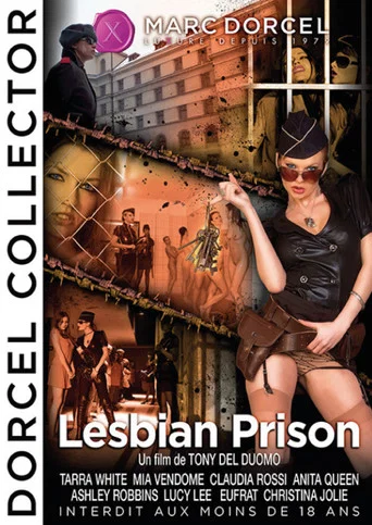Movie poster for Lesbian Prison (2009)