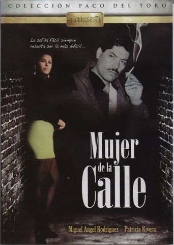 Mujer de la calle poster