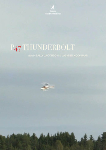 Movie poster for P47 Thunderbolt (2016)