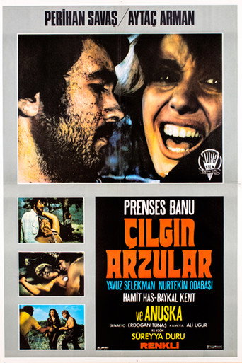 Movie poster for Çılgın Arzular (1974)