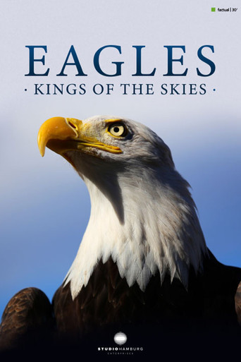 Movie poster for Eagles - Kings of the skies (2018)