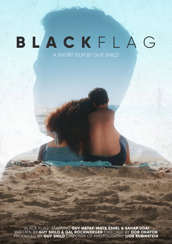 Movie poster for Black Flag