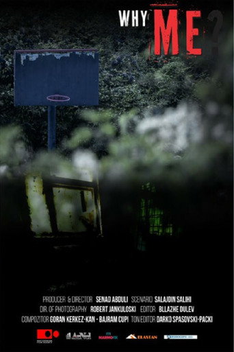 Movie poster for Why Me? (2018)