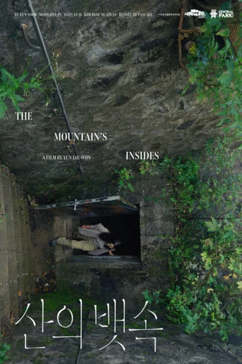 Movie poster for The Mountain’s Insides (2024)