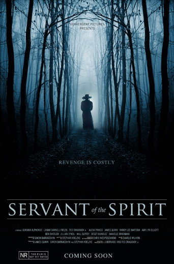 Movie poster for Servant of the Spirit
