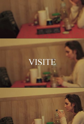 Movie poster for VISIT (2024)