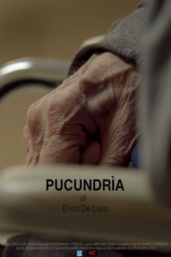Movie poster for Pucundrìa (2019)