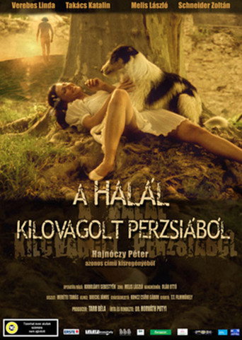 Movie poster for Death Rode out of Persia (2004)