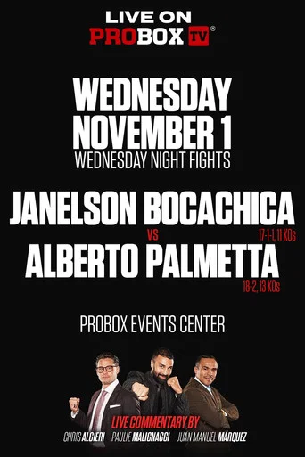 Movie poster for Janelson Bocachica vs. Alberto Palmetta (2023)