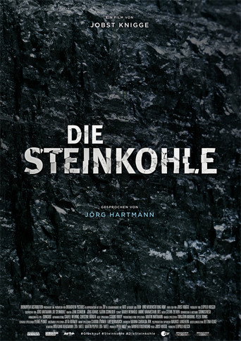 Movie poster for Die Steinkohle: II: Ende einer Ära (2018)
