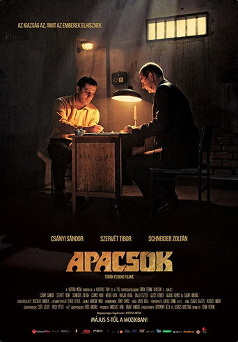 Movie poster for Apaches (2010)