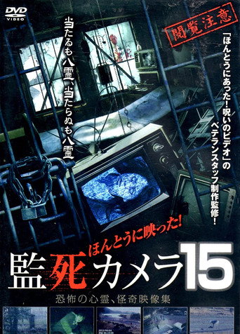 Movie poster for Paranormal Surveillance Camera 15 (2016)
