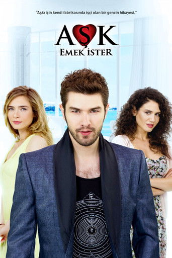 Aşk Emek İster poster