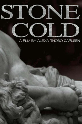 Movie poster for Stone Cold (2023)