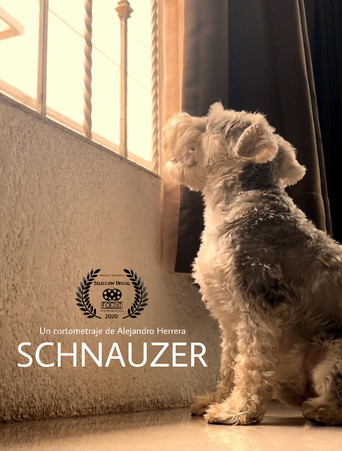 Movie poster for Schnauzer (2020)