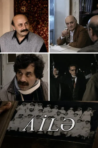 Movie poster for The Family (1998)