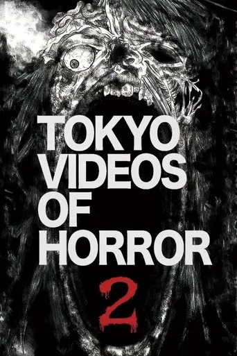Movie poster for Tokyo Videos of Horror 2 (2012)