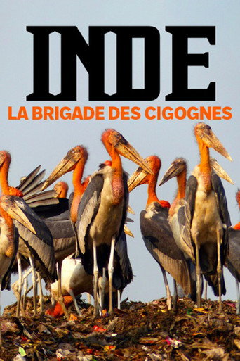 Movie poster for Inde, la brigade des cigognes (2022)