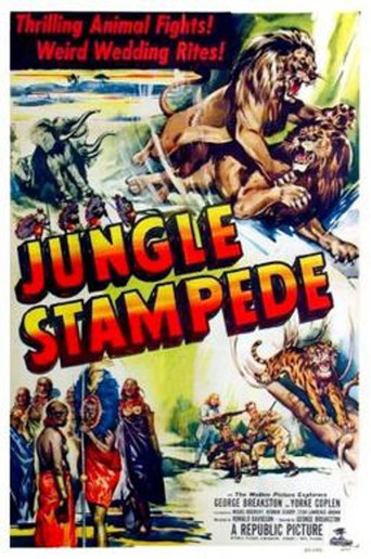Movie poster for Jungle Stampede (1950)