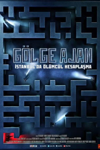 Shadow, Ten: Vzyat Gordeya poster