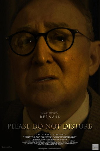 Movie poster for Please Do Not Disturb (2023)