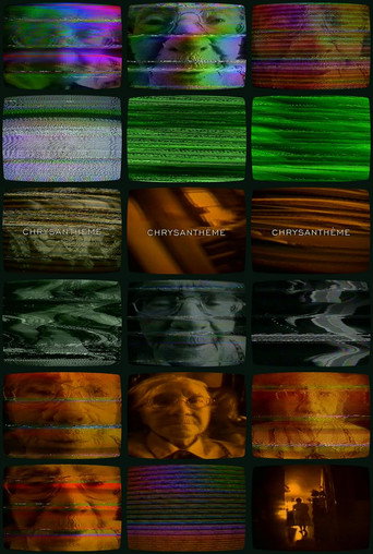 Chrysanthème poster
