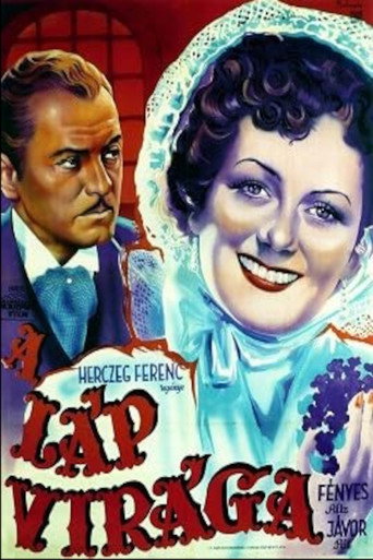 Movie poster for A láp virága (1942)