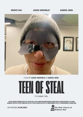 Movie poster for Teen of Steal (2024)