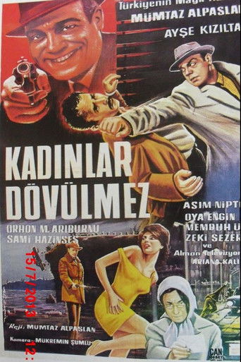 Kadınlar Dövülmez poster