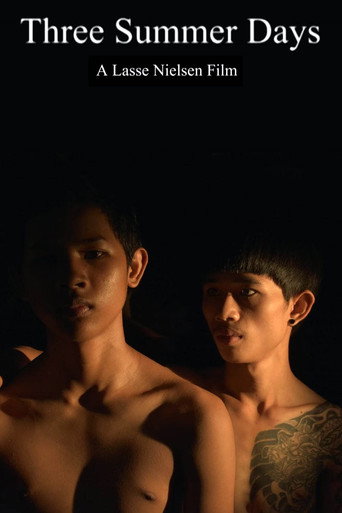 Movie poster for Three Summer Days (2014)
