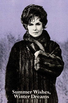 Summer Wishes, Winter Dreams poster