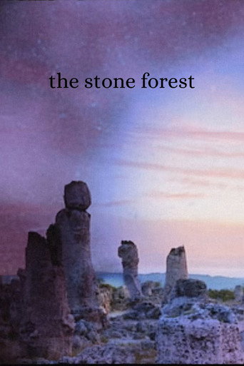 Movie poster for The Stone Forest (2025)