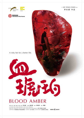 Movie poster for Blood Amber (2017)